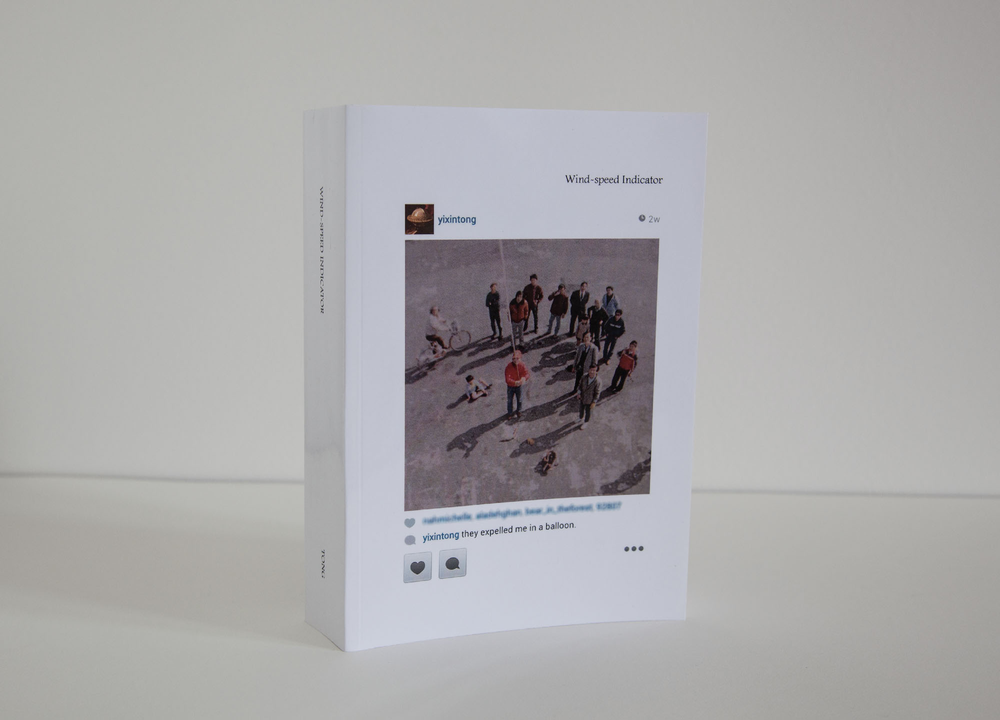 Every Art Book in the Library / Wind-speed Indicator (book)