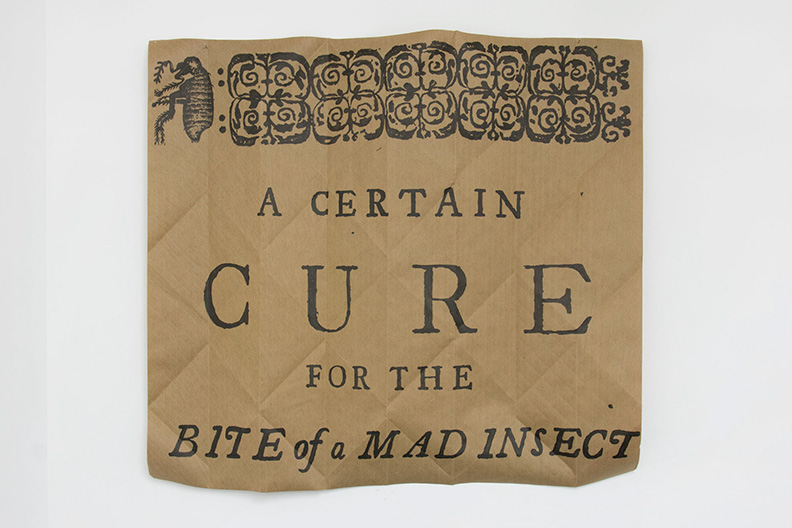 a_certain_cure_for_the_bite_of_a_mad_insect